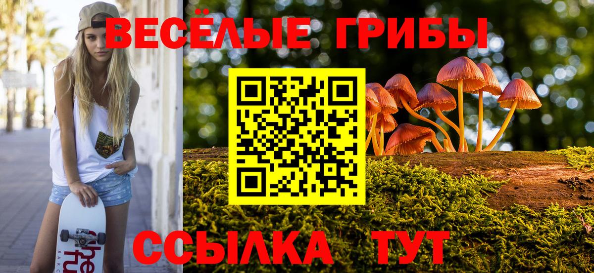 Галлюциногенные грибы Cubensis  Псилоцибиновые грибы Cubensis  Вход с VPN  Костомукша 