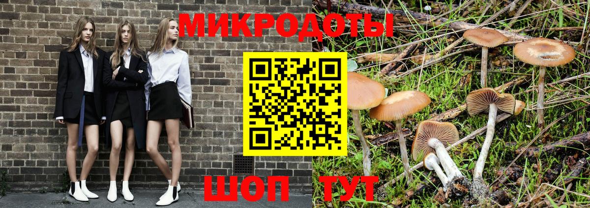 Галлюциногенные грибы Psilocybine cubensis Костомукша